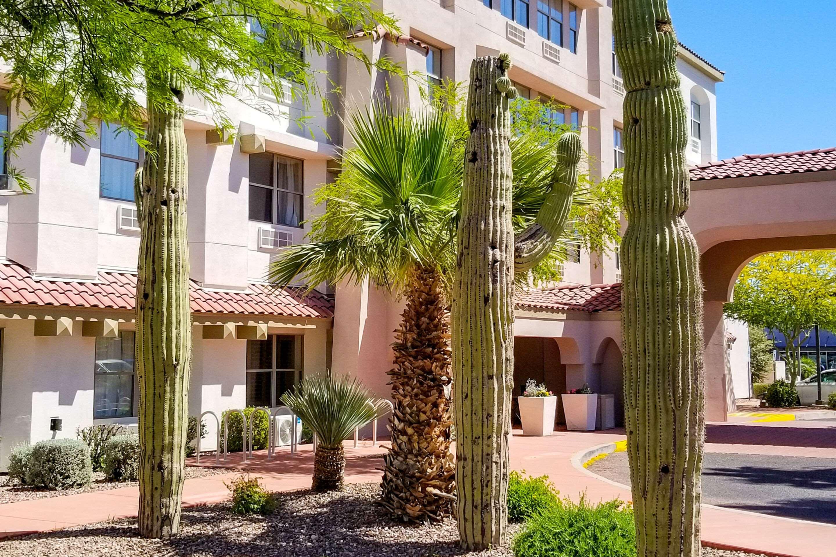 Comfort Inn & Suites Tempe Phoenix Sky Harbor Airport Екстер'єр фото